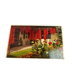 Vintage Petley Studios New Mexico Chili Peppers Ristras Postcard Bob Petley